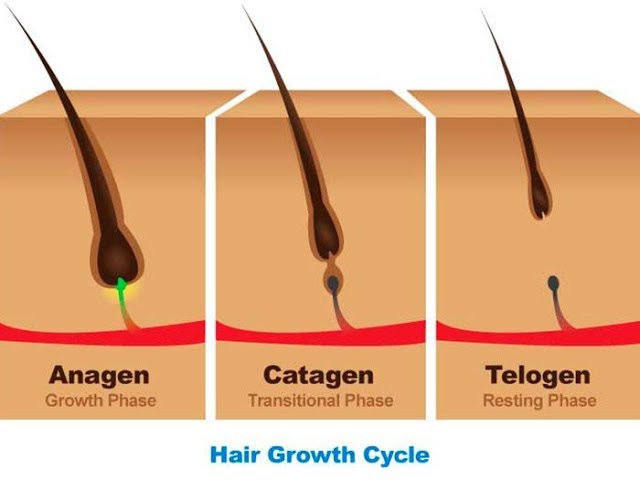 Hair Loss