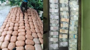 Gariaband Ganja Seizure news