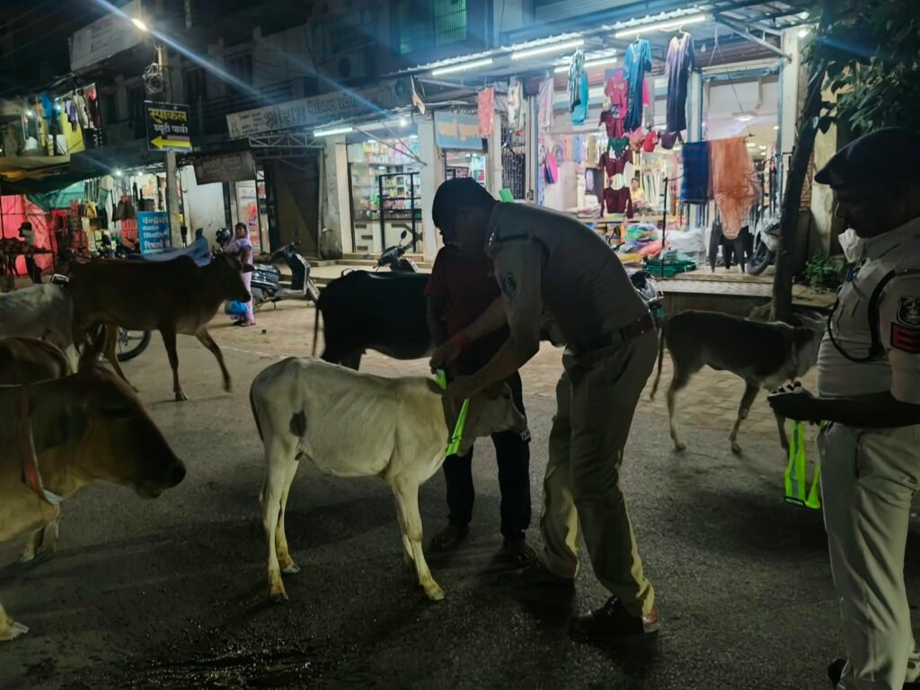 Kabirdham Cow Safety