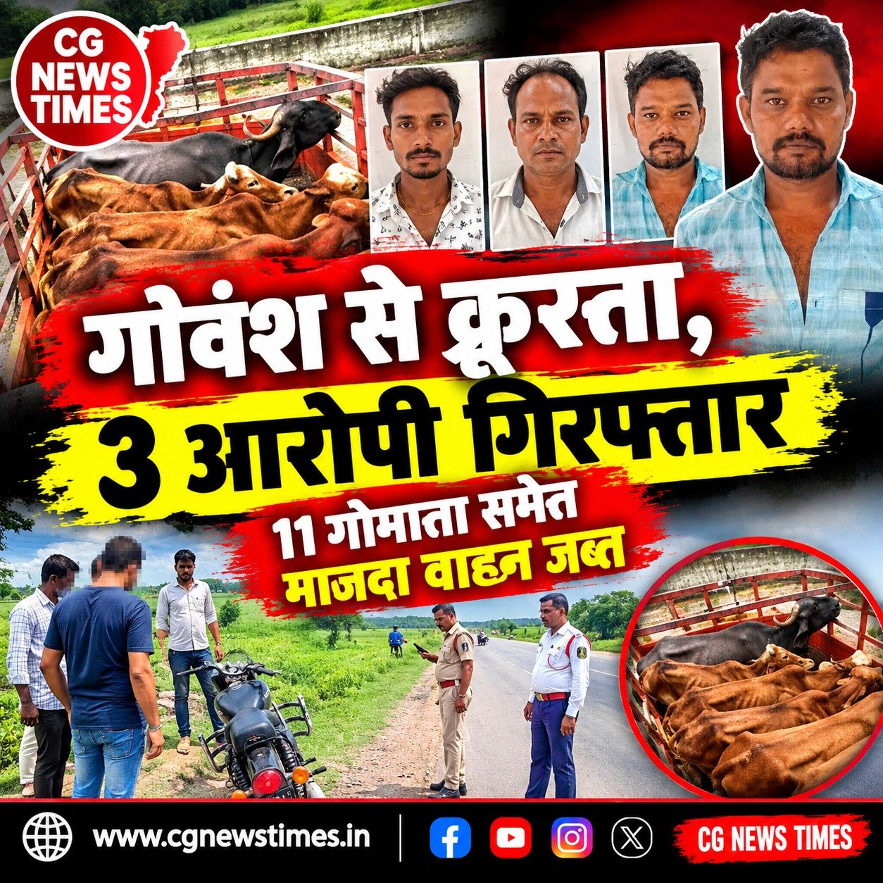 कबीरधाम में गोवंश से क्रूरता, 3 आरोपी गिरफ्तार; 11 गोमाता और माजदा वाहन जब्त
